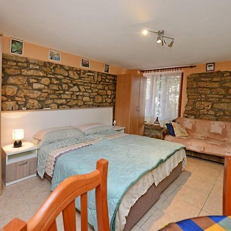 Maja Apartment Višnjan Buitenkant foto